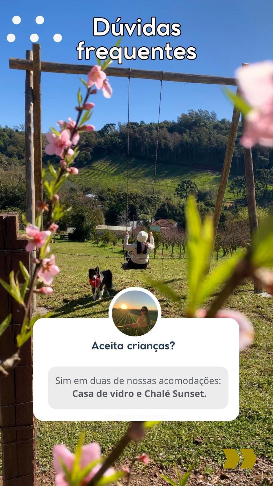 Casa Na Arvore Com Hidro, Piscina, Trilha, Cavalo Bento Gonçalves Extérieur photo