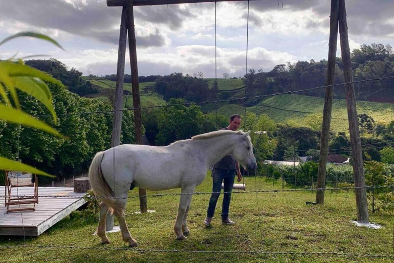 Casa Na Arvore Com Hidro, Piscina, Trilha, Cavalo Bento Gonçalves Extérieur photo